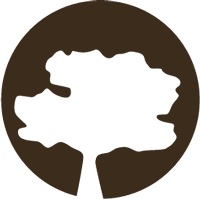 Michelle Møller Jensen